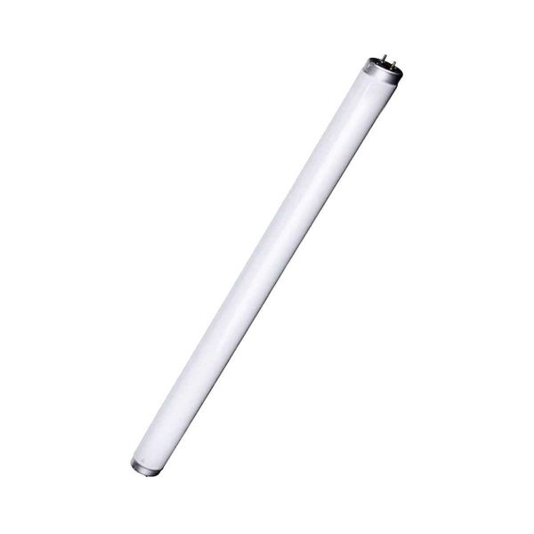 Lampada Fluorescente 11W