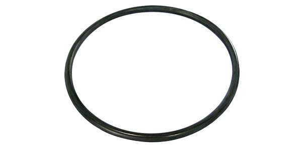 ANEL VEDACAO BOMBA COMBUSTIVEL FLANGE P/ GM CORSA